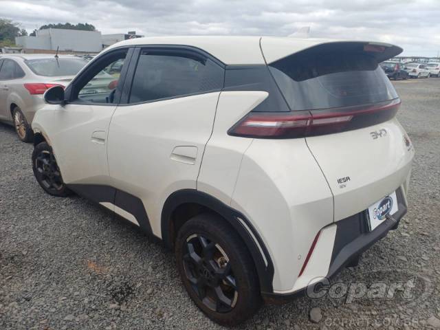 2026 BYD DOLPHIN MINI 