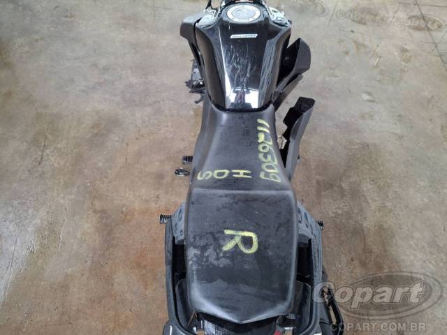 2025 YAMAHA FACTOR 