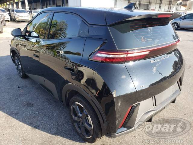 2024 BYD DOLPHIN MINI 