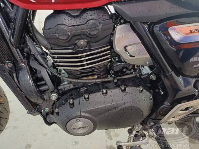 2025 TRIUMPH SPEED 