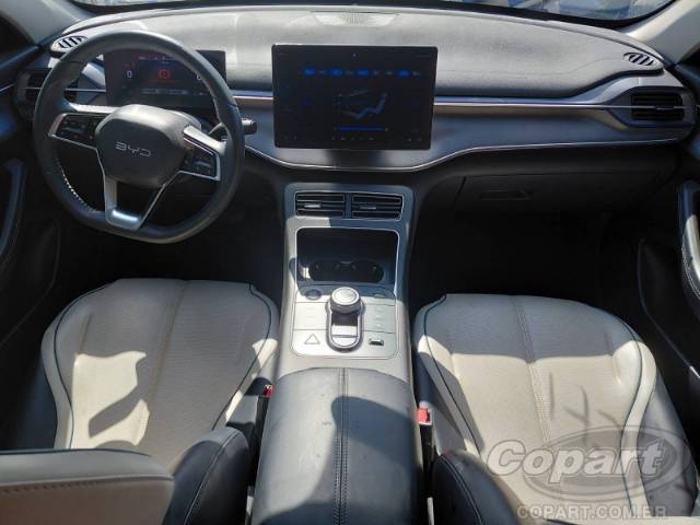 2025 BYD KING 