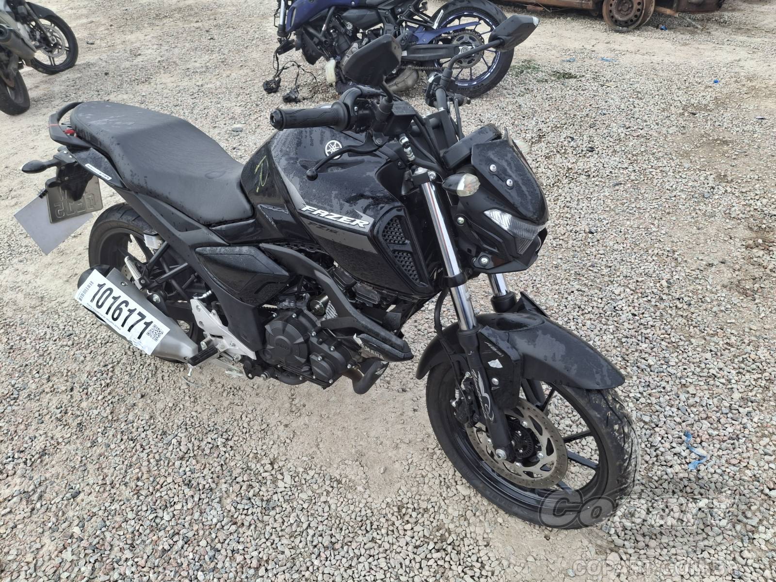 Veículo YAMAHA FZ15 YAMAHA FZ15 2024 2024 em leilão