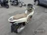 2019 HONDA PCX 