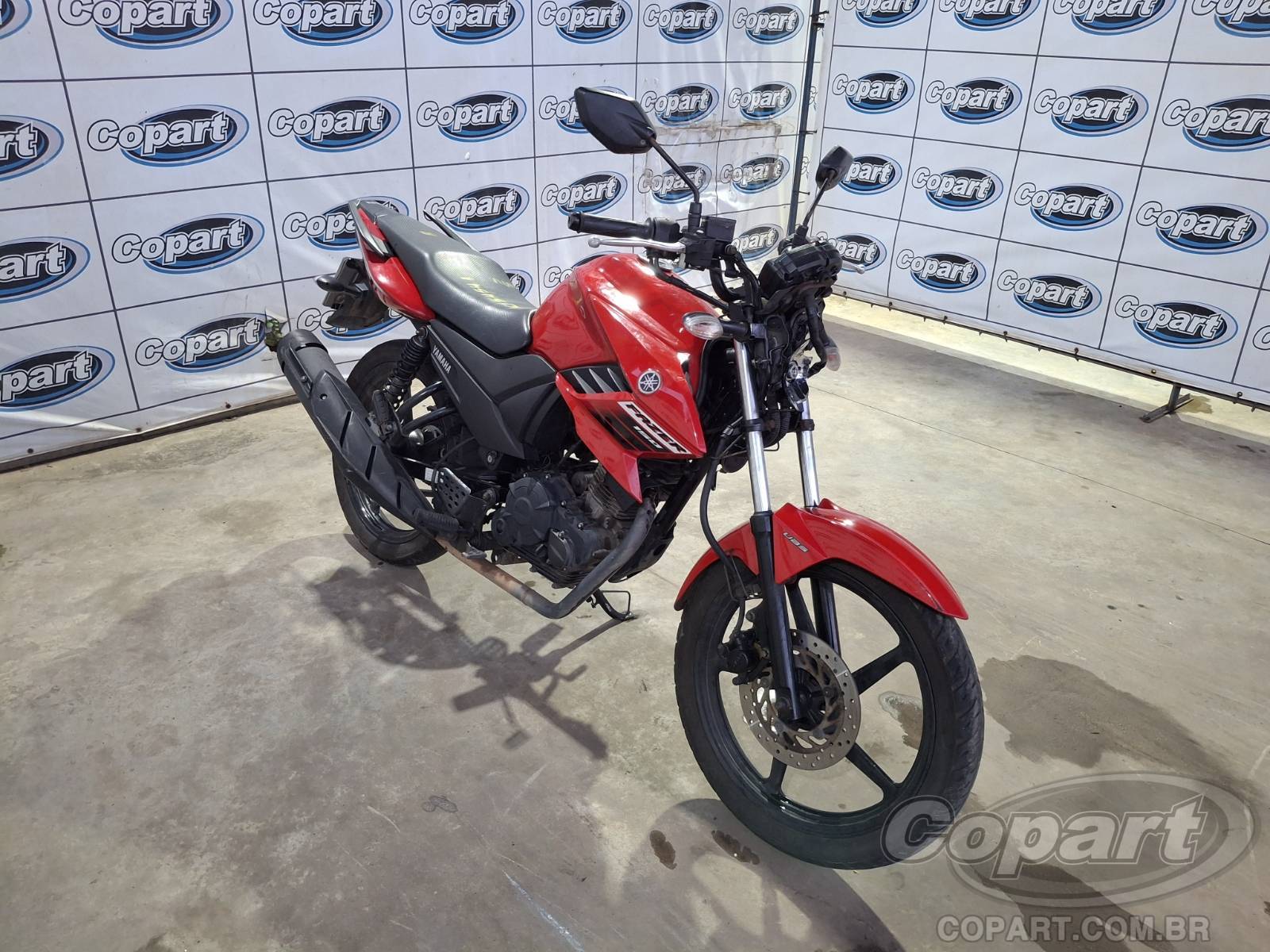 2024 YAMAHA FAZER YS 150 SED UBS BlueFlex