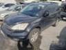2010 HONDA CR-V 