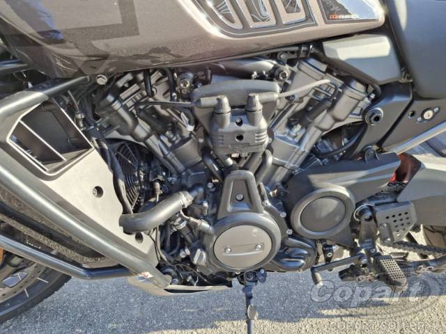 2024 HARLEY-DAVIDSON PAN AMERICA 