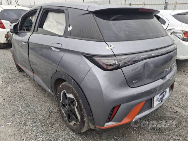 2024 BYD DOLPHIN 