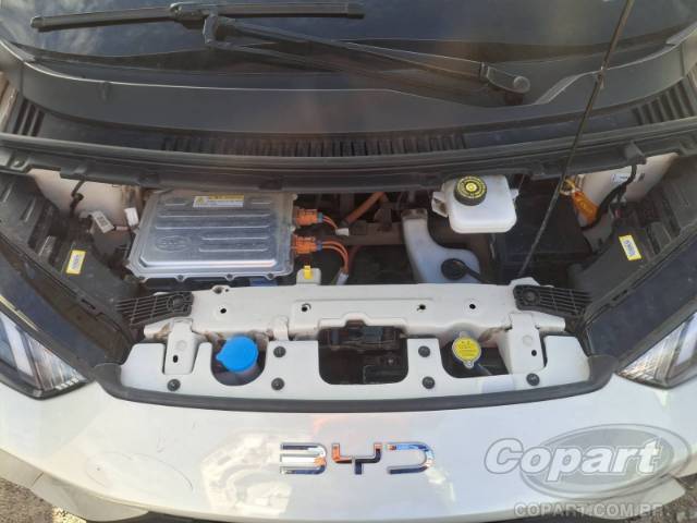 2026 BYD DOLPHIN MINI 
