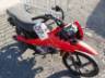 2026 HONDA POP 