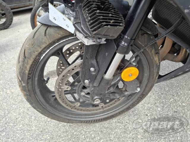 2024 TRIUMPH DAYTONA 