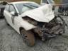 2024 VOLKSWAGEN POLO 