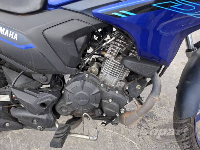 2025 YAMAHA FACTOR 