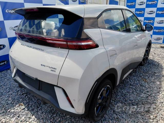 2025 BYD DOLPHIN MINI 