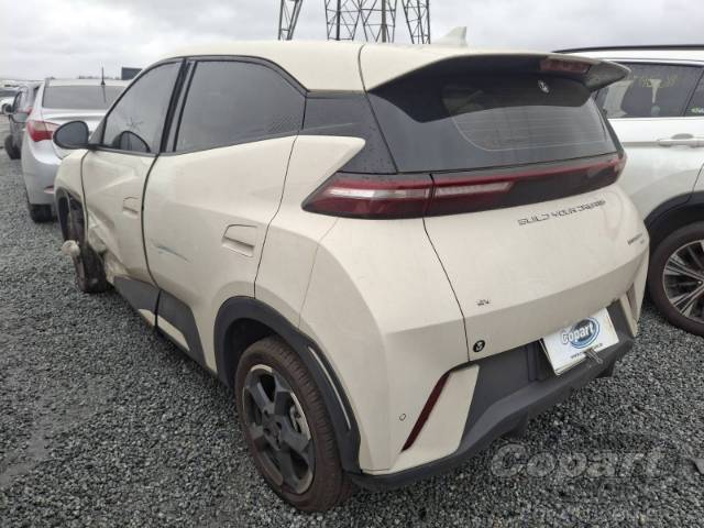 2024 BYD DOLPHIN MINI 
