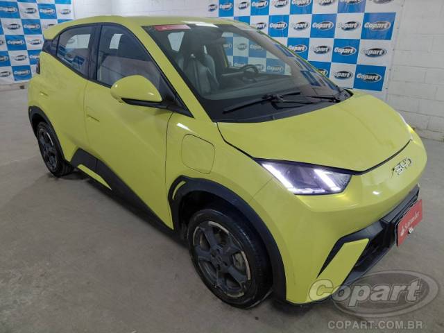 2025 BYD DOLPHIN MINI 