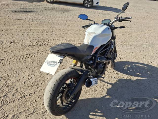 2020 DUCATI MONSTER 