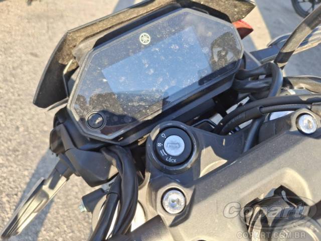 2025 YAMAHA FZ25 FAZER 