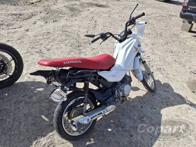 2024 HONDA POP 