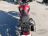 2024 TRIUMPH TIGER 