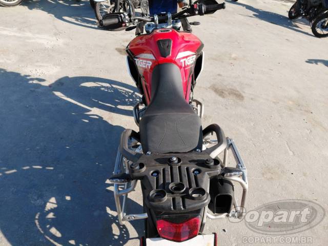 2024 TRIUMPH TIGER 