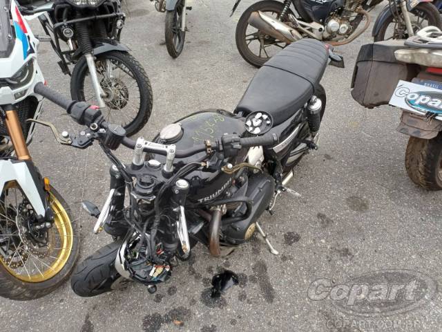 2019 TRIUMPH SPEED TWIN 