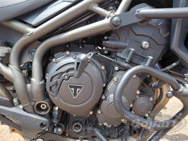 2020 TRIUMPH TIGER 