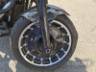 2019 HARLEY-DAVIDSON SOFTAIL 