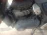 2025 TRIUMPH SPEED 