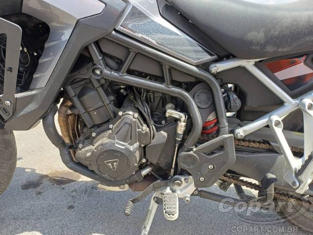 2024 TRIUMPH TIGER 