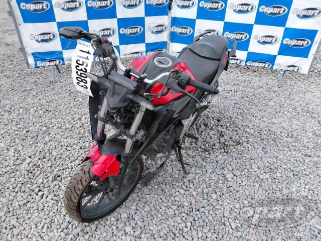 2024 HONDA CB 300F 