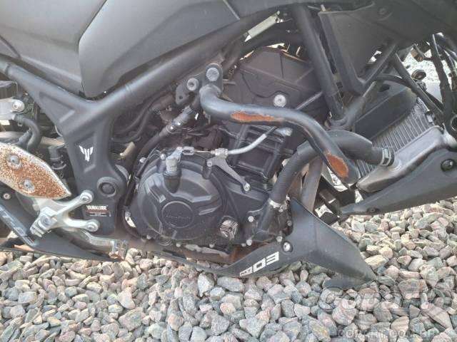 2024 YAMAHA MT-03 