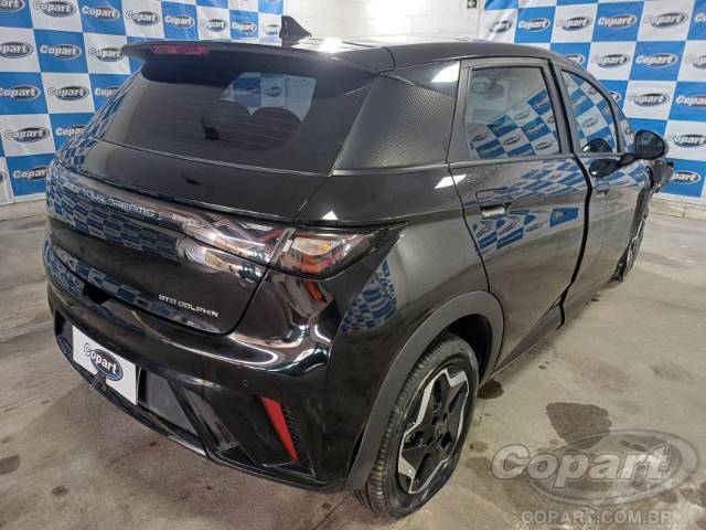 2024 BYD DOLPHIN 