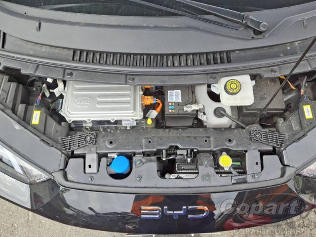 2025 BYD DOLPHIN MINI 