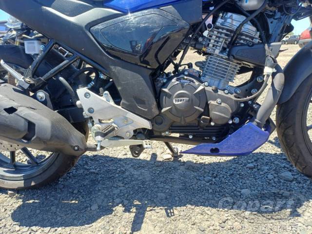 2025 YAMAHA FZ15 