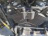2019 HARLEY-DAVIDSON SOFTAIL 