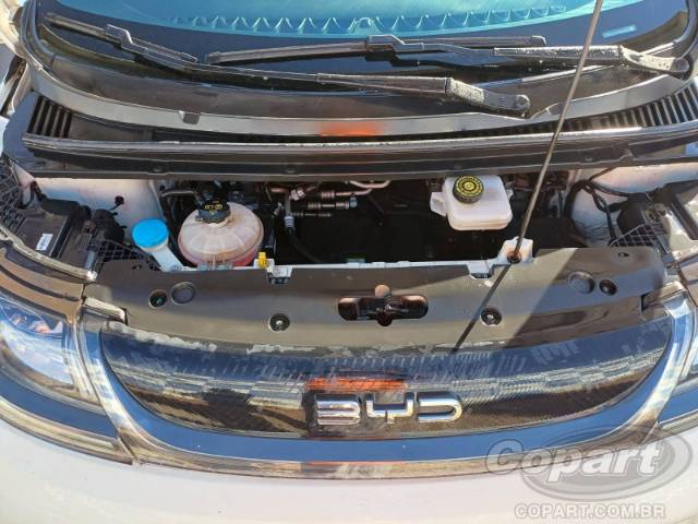 2025 BYD DOLPHIN 