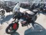 2024 TRIUMPH TIGER 