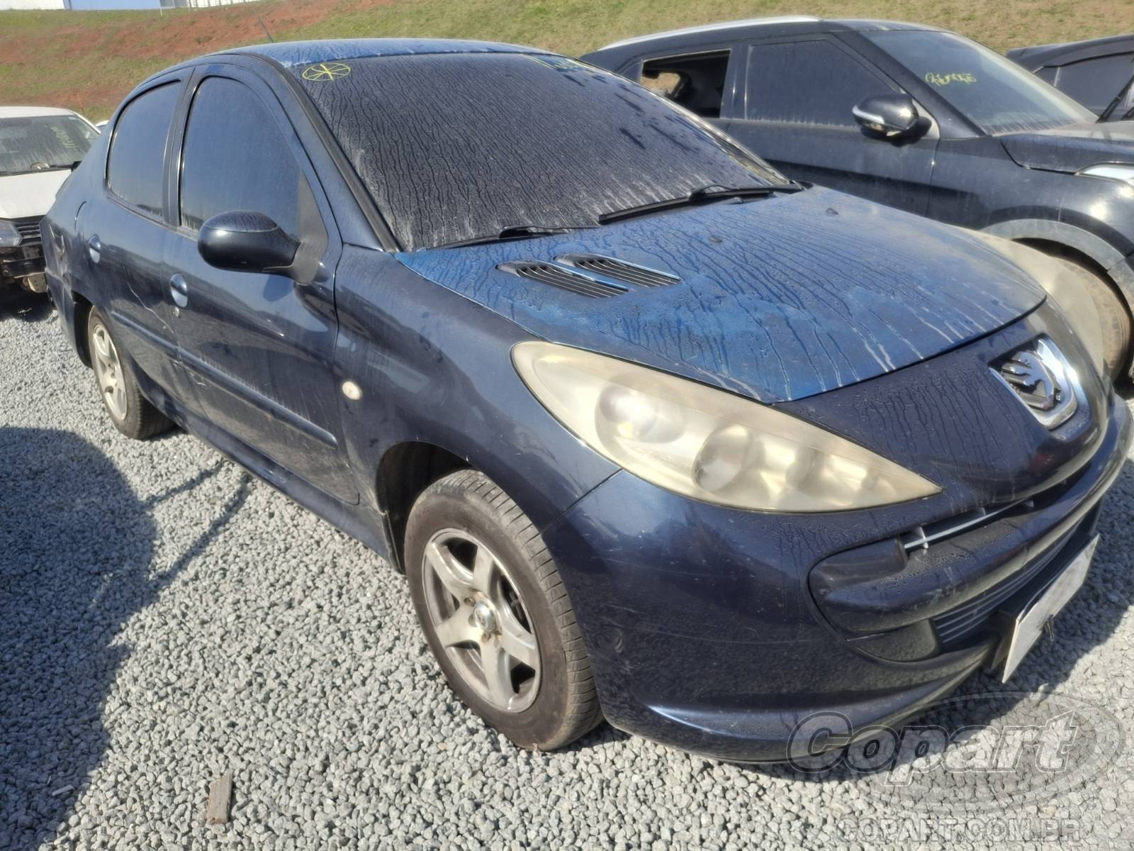 Peugeot 207 Passion 2012