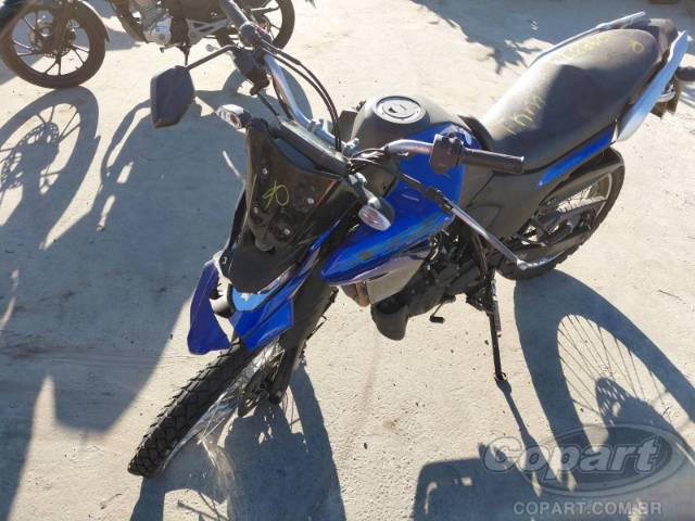 2025 YAMAHA XTZ 250 