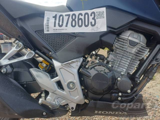 2025 HONDA CB 300F 