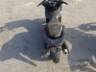 2024 HONDA PCX 
