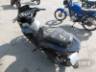 2024 HONDA PCX 