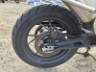 2024 TRIUMPH TIGER 