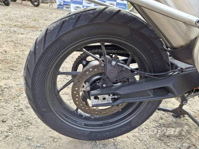 2024 TRIUMPH TIGER 