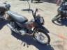 2013 HONDA POP 100 