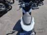 2024 HONDA PCX 