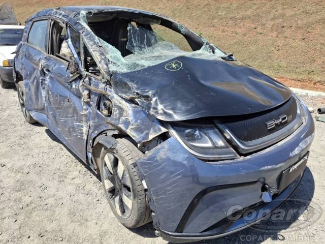 2025 BYD DOLPHIN/YUAN PLUS/YUAN PRO 