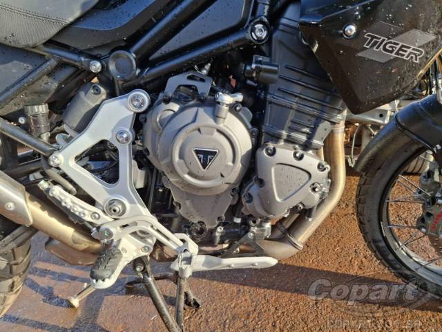 2025 TRIUMPH TIGER 