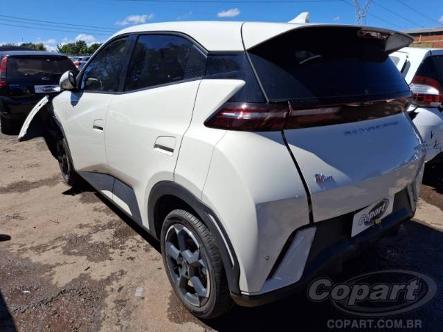 2025 BYD DOLPHIN MINI 