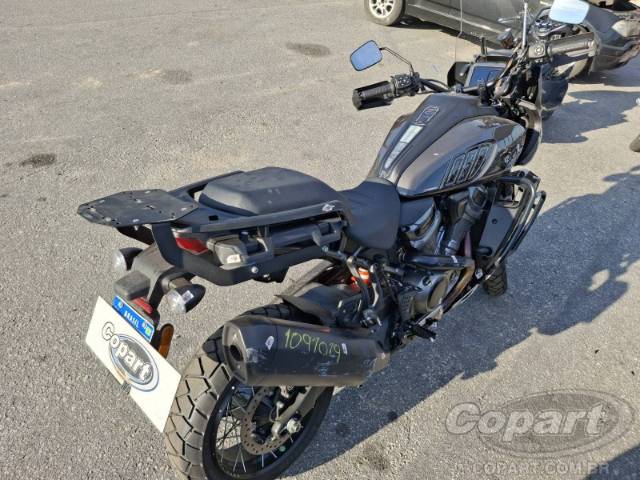 2024 HARLEY-DAVIDSON PAN AMERICA 